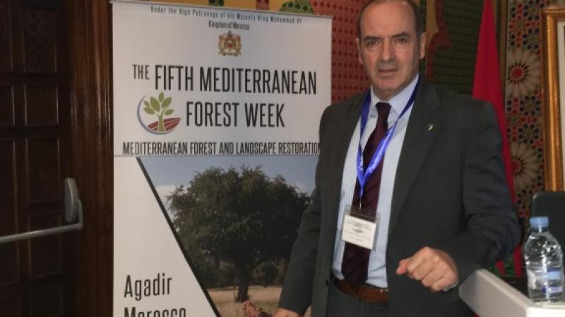 U Agadiru (Maroko) održava se V konferencija 