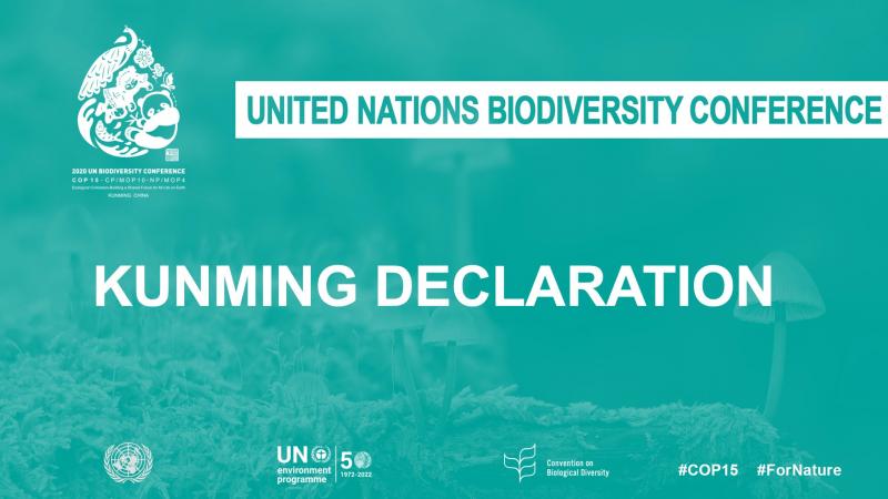 COP 15 - Kunming deklaracija je usvojena